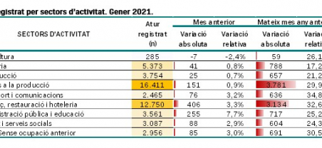 Imatge informe mensual atur registrat