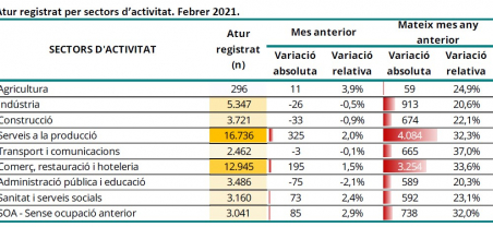 Imatge informe mensual atur registrat