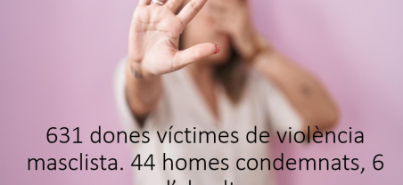 Informe trimestral violència