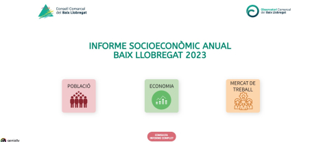 Informe anual socioeconòmic