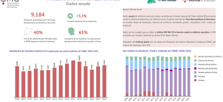 Informe anual violència contra les dones.